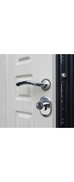 Дверь входная ГЛАДИАТОР