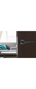 Дверная ручка Palladium Meteor GF, Графит