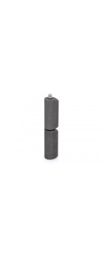 Петля приварная Palladium 22x120 мм, Серебряно-черный