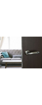 Дверная ручка Palladium Ariel SN/CP, Матовый никель
